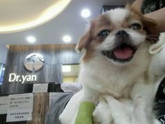 -严国平动物医院(德政总院)