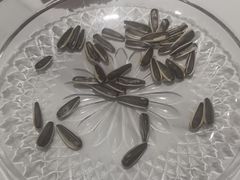 -火龙堂·风味民间菜(文一路店)
