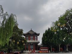 -天津水上公园