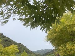 -桑干河大峡谷旅游区