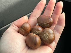 -金栗王(清扬路店)