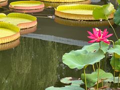 -国家植物园南园