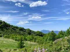 -白草畔自然风景区