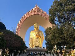 -庐山风景名胜区-东林大佛