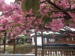 -渭塘酒家(生态园店)