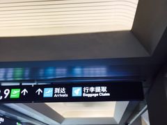 -厦门高崎国际机场-T3航站楼