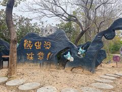 -天适樱花悠乐园