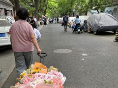 -北京国子监胡同