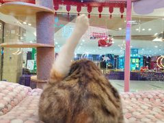 -吾悦广场(天津和平店)