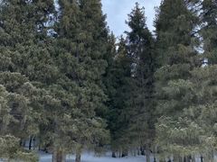 -丝绸之路山地度假区滑雪场