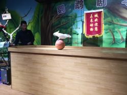 -未来动物城主题公园(正弘城店)