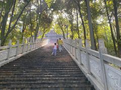 -老君山