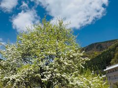 -芦芽山旅游度假区