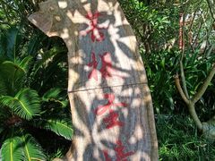 -南宁良凤江国家森林公园