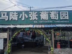 -马陆小张葡萄园农家乐