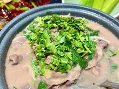 -老板恋上鱼(恒隆广场店)