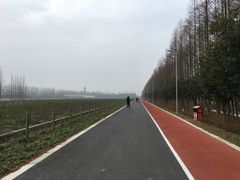 -上海长兴岛郊野公园