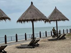 -北海金海湾红树林生态旅游区