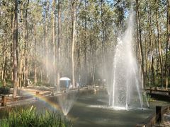 -合肥滨湖国家森林公园