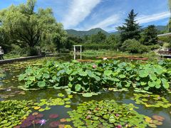 -国家植物园南园