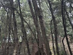 -金堂县云顶石城风景区