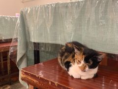 -洪齐林老镇