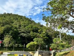 -黄埔油麻山森林公园