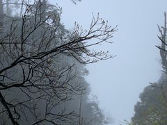 -峨眉山风景名胜区