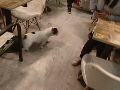-小时光咖啡馆(北锣鼓巷店)