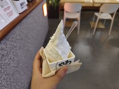 -野人先生Gelato(上海长宁龙之梦店)