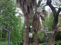 -苏州河梦清园环保主题公园