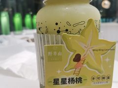 -野萃山·潮汕厚果汁(十亩地店)