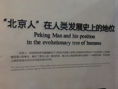 -北京周口店北京人遗址博物馆