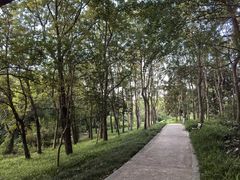 -昆山城市生态森林公园