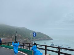-枸杞岛