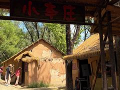 -滕州微山湖红荷湿地景区