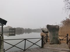 -溱湖国家湿地公园