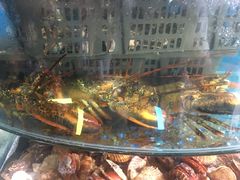 -蓝珊甄选海鲜自助·火锅大排档(近阿那亚店)