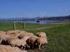 -怀来官厅水库