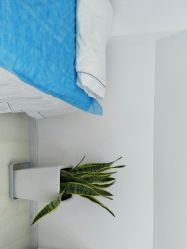 -Return·蕾特恩祛痘·皮肤管理中心