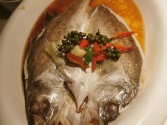 葱椒鲈鱼-绿茶餐厅(西单老佛爷店)