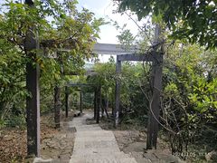 -缥缈峰景区