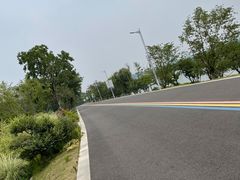 -羊山湖公园