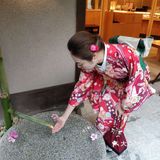 京都和服一日秀