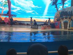 -三亚海昌梦幻海洋不夜城