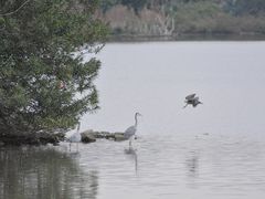 -海珠湖公园