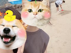 -海角城白海豚浪漫海滩