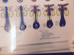 -史云逊养发护发