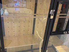 -太湖饭店玉兰厅(自助餐厅)