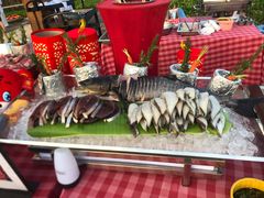 -亚龙湾希尔顿自助餐厅·海鲜·烧烤·沙滩BBQ·现场乐队